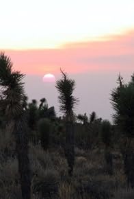 Primary photo for The Mojave Desert