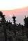 The Mojave Desert's primary photo