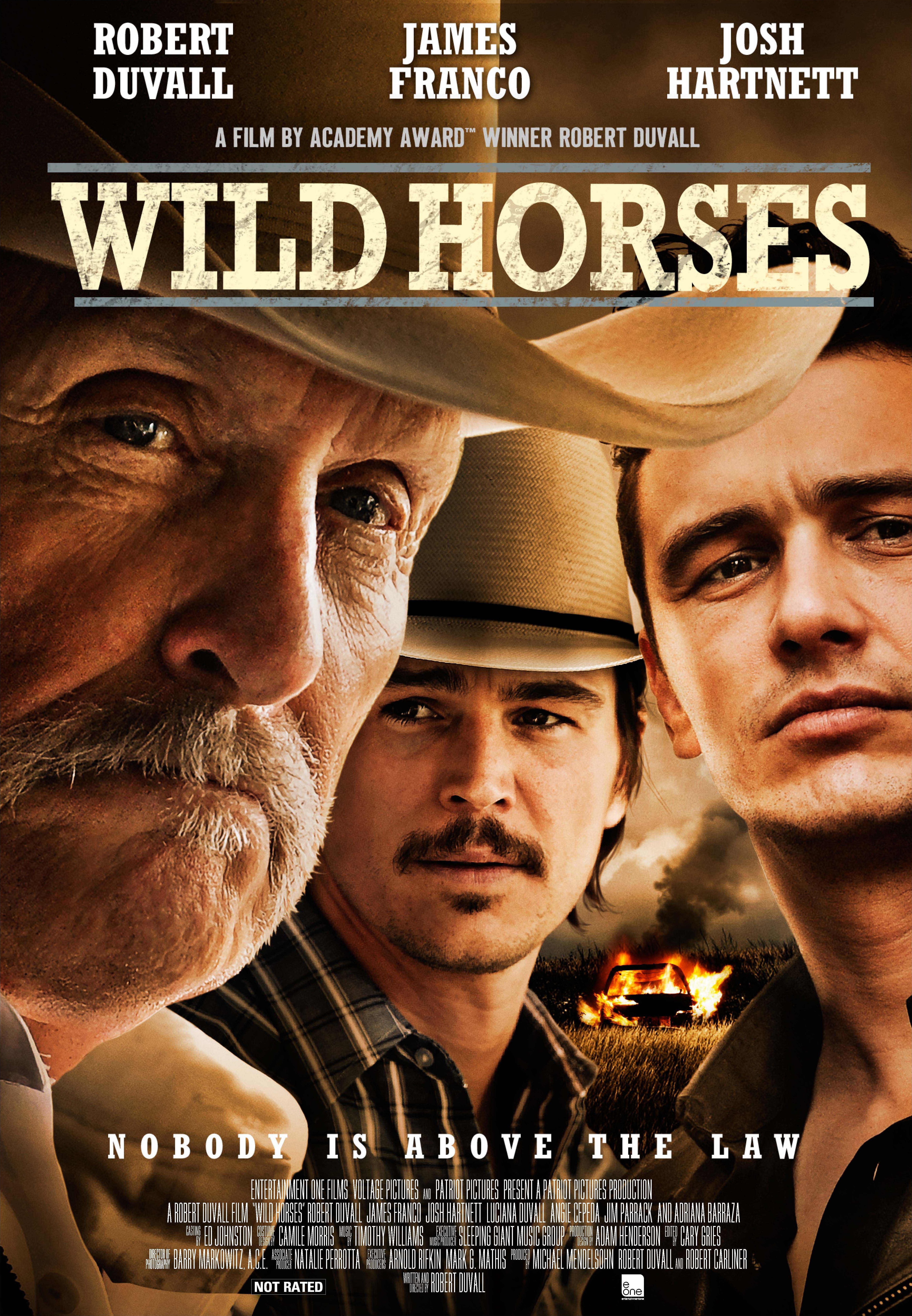 Poster of Wild Horses