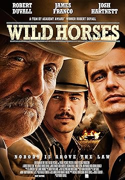 Poster of Wild Horses