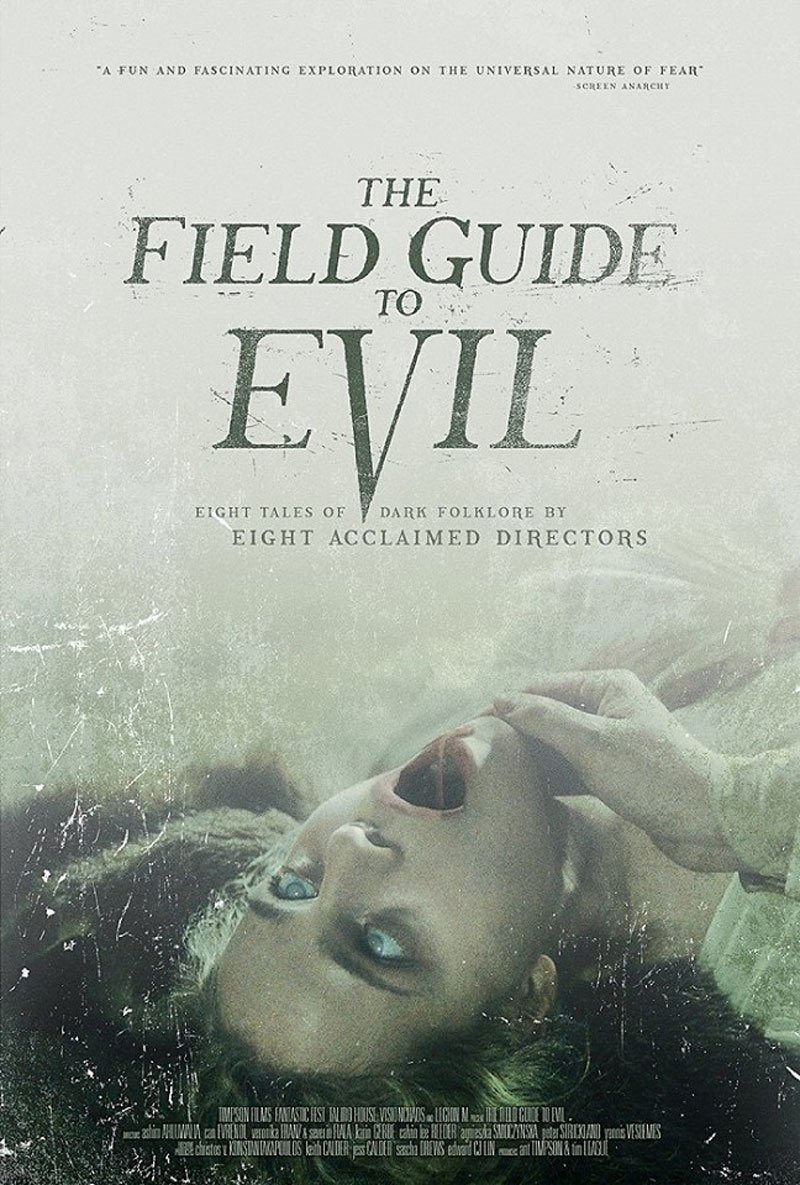 Poster of The Field Guide to Evil