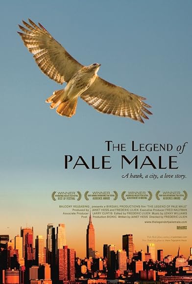Primary photo for The Legend of Pale Male Primary photo for The Legend of Pale Male
