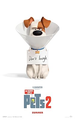 Poster of The Secret Life of Pets 2