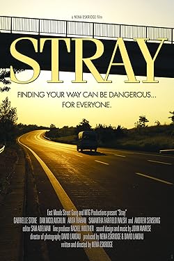 Poster of Stray