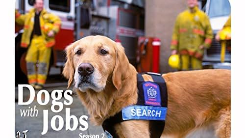Dogs with Jobs (TV Series 2000 2009) Episode list IMDb Dogs with Jobs (TV Series 2000 2009) Episode list IMDb