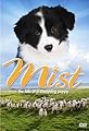 Mist: The Tale of a Sheepdog Puppy's primary photo