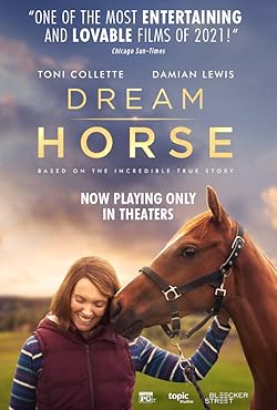 Poster of Dream Horse