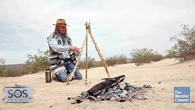 पोस्टर देखें