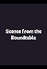 Primary photo for Scenes from the Roundtable Primary photo for Scenes from the Roundtable