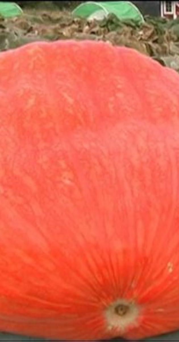 "Postcards from Buster" The Giant Pumpkins Mt. Hood and Canby, Oregon