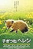 Primary photo for Helen the Baby Fox Primary photo for Helen the Baby Fox