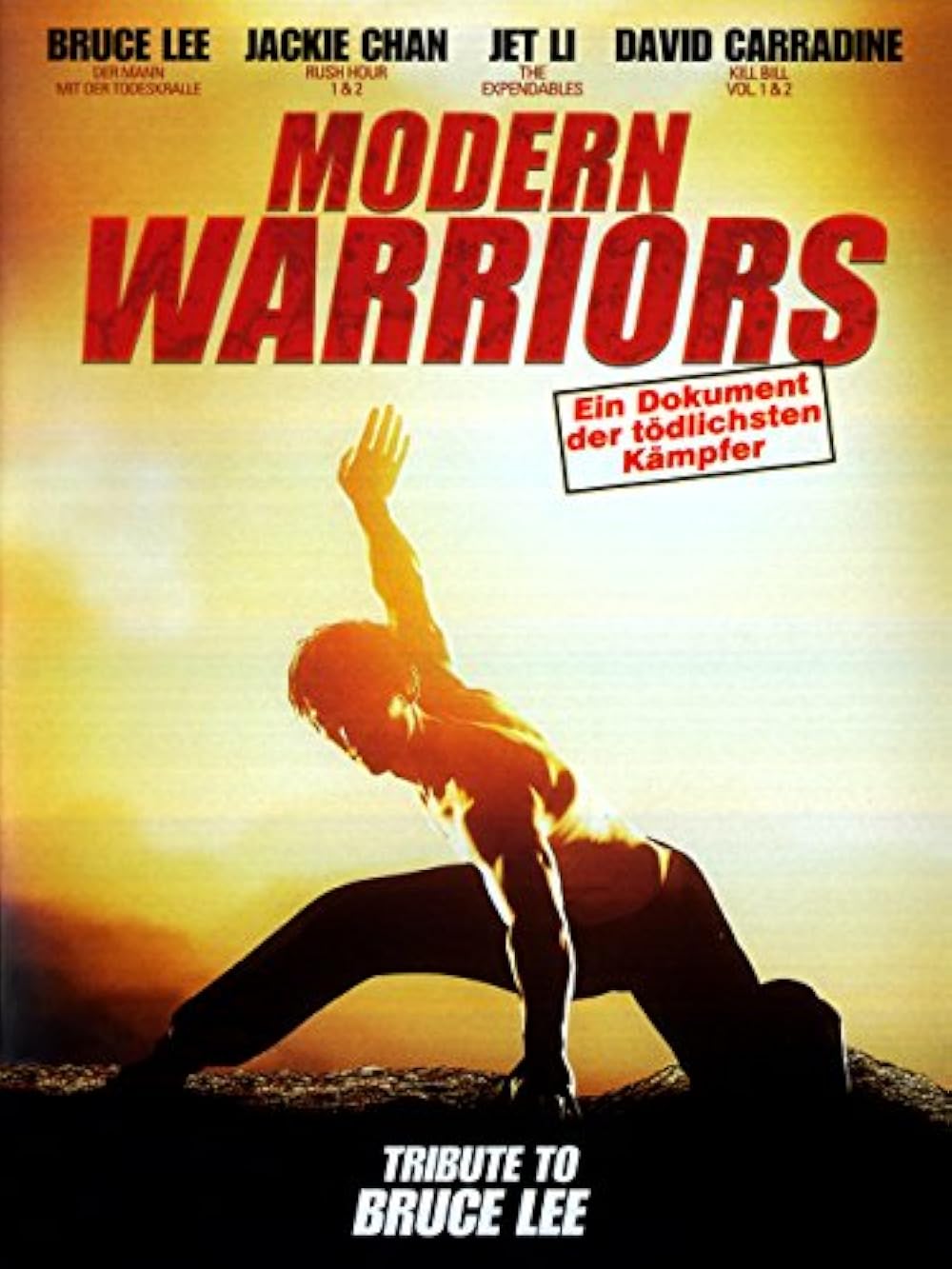 Modern Warriors (2002)