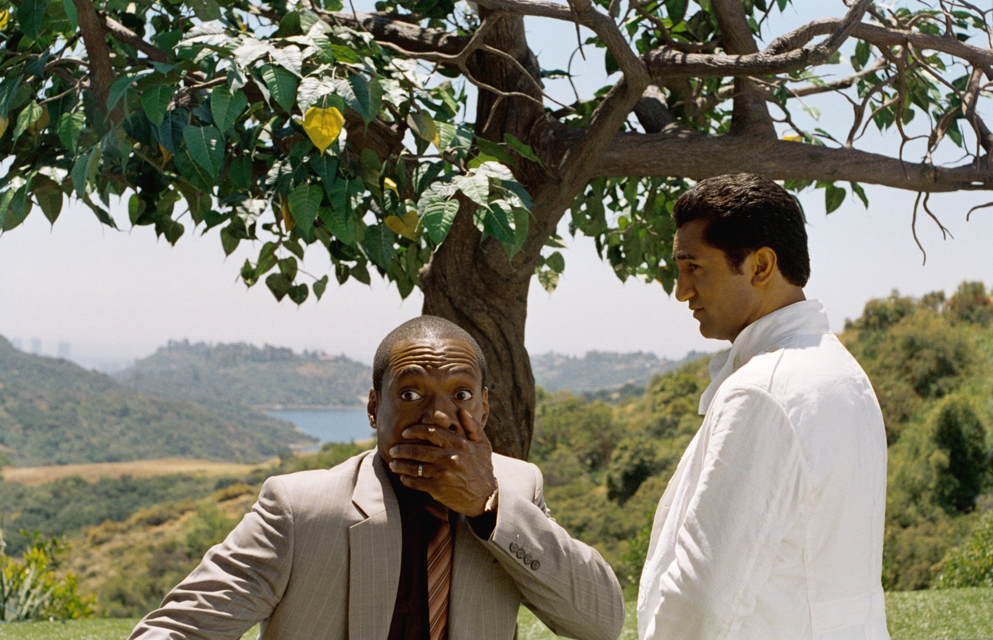 где любит расти