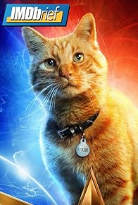 Primary photo for Meet Goose: Captain Marvel's Kitty