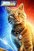 Primary photo for Meet Goose: Captain Marvel's Kitty Primary photo for Meet Goose: Captain Marvel's Kitty