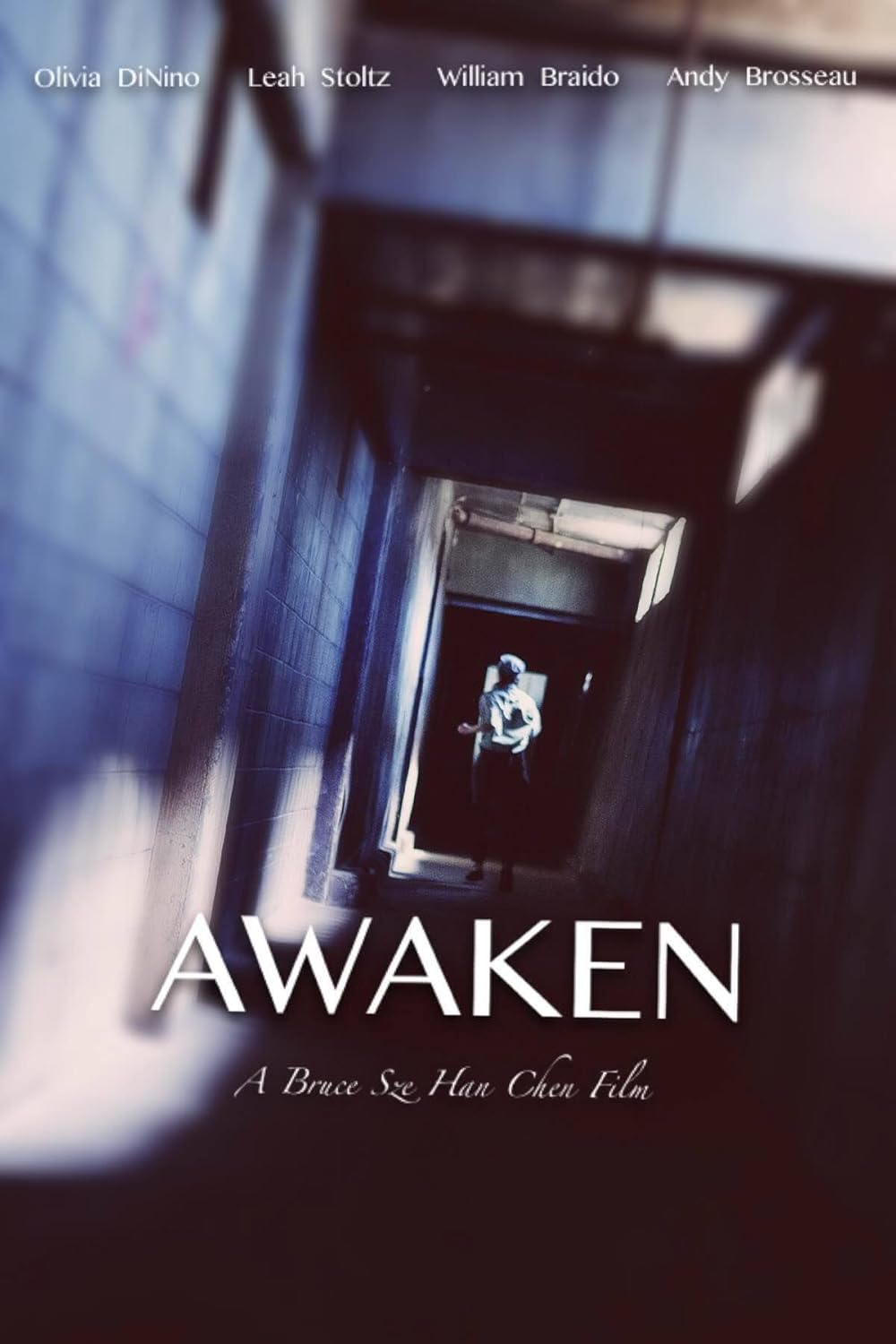 Каникулы 2015. Каникулы 2015. Awaken movie. Ребекка холл экстрасенс. Awaken movie.