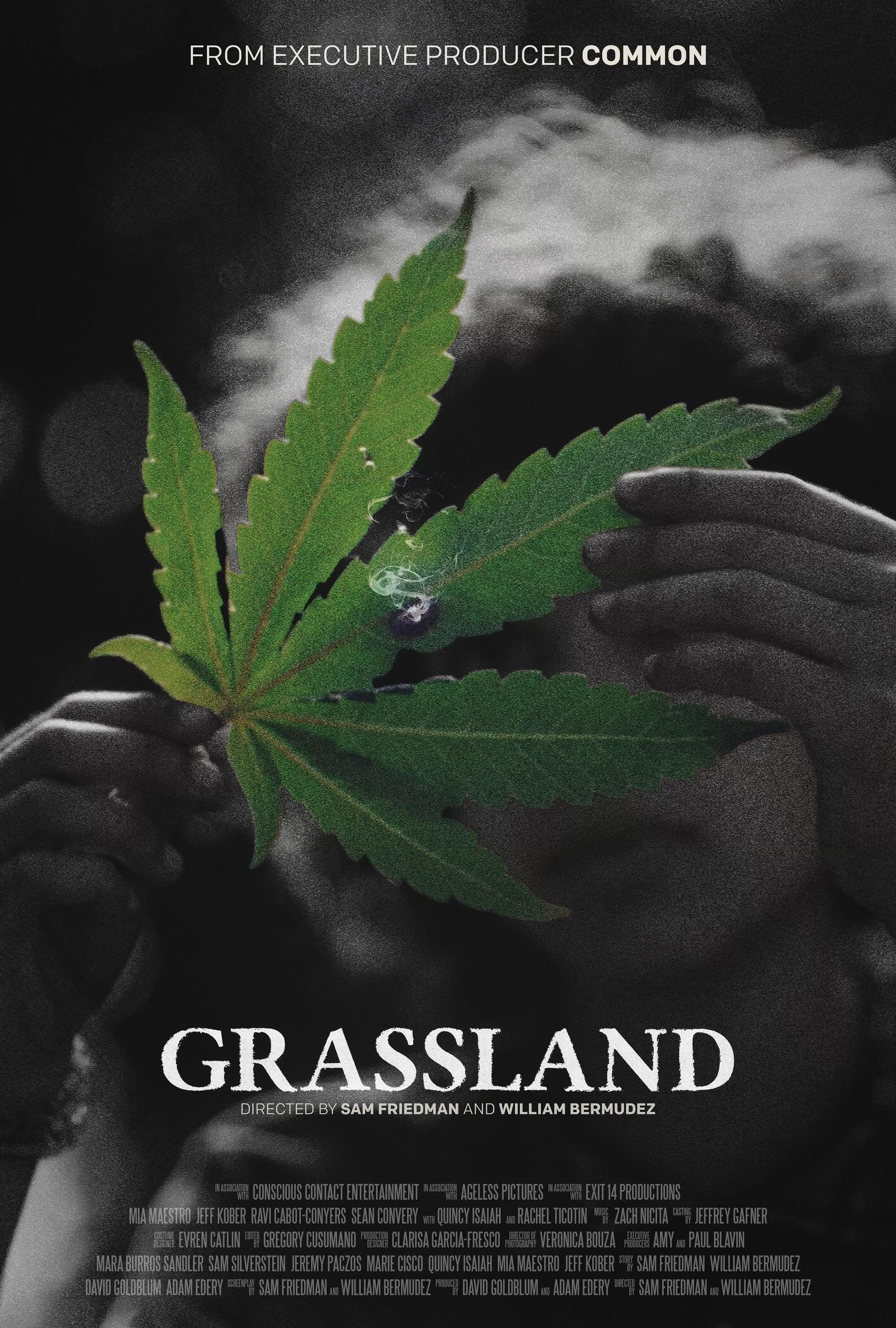 Poster of Grassland