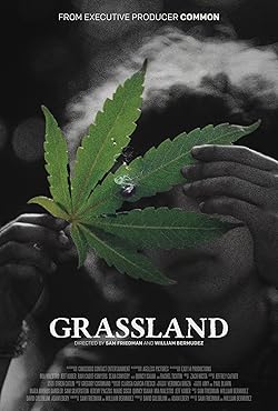 Poster of Grassland