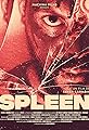 Spleen's primary photo