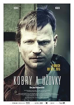 Poster of The Snake Brothers