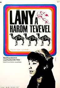 Primary photo for The Girl with Three Camels Primary photo for The Girl with Three Camels