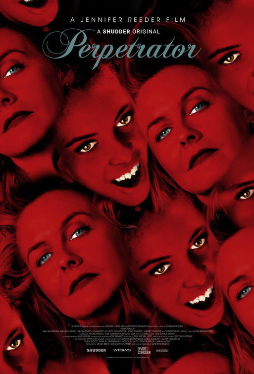 Poster of Perpetrator