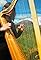 The High Road to Kilkenny, Un voyage musical en Irlande's primary photo