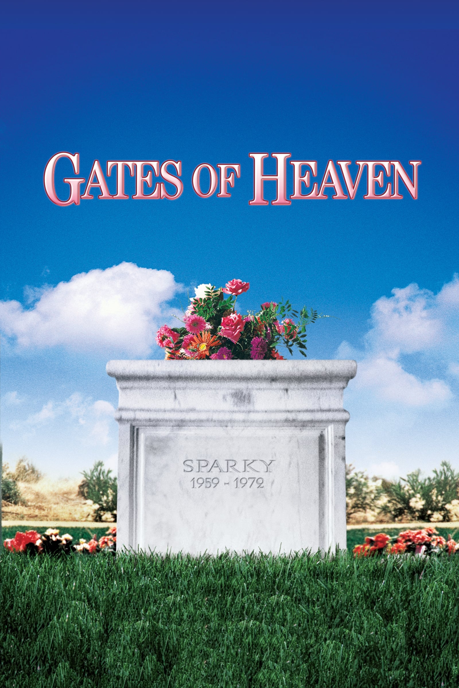 Gates of Heaven (1978) - User reviews - IMDb