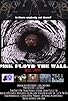 Primary photo for Pink Floyd the Wall Redux Primary photo for Pink Floyd the Wall Redux