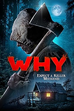 Poster of Why?
