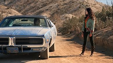 पोस्टर देखें