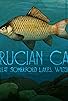 Primary photo for Crucian Carp: Great Somerford Lakes, Wiltshire