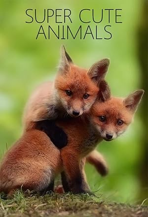 Super Cute Animals Poster