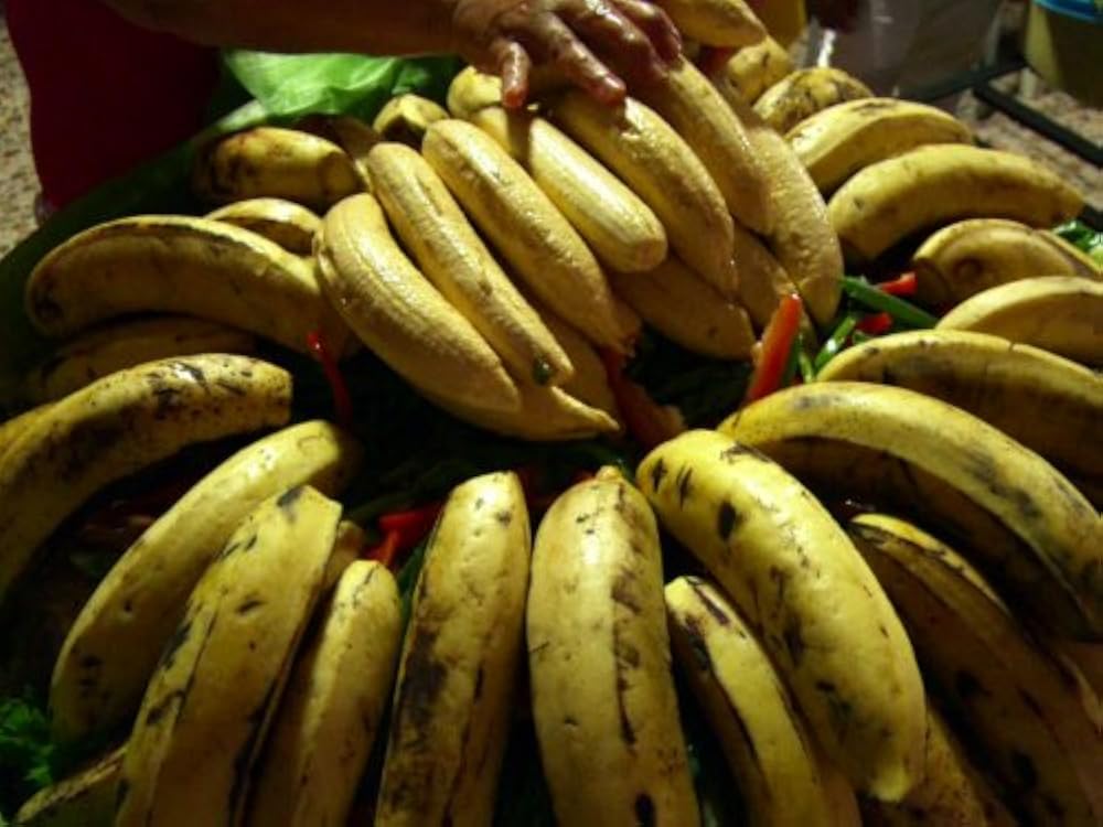 Anthony Bourdain No Reservations Nicaragua Tv Episode 2011 Imdb