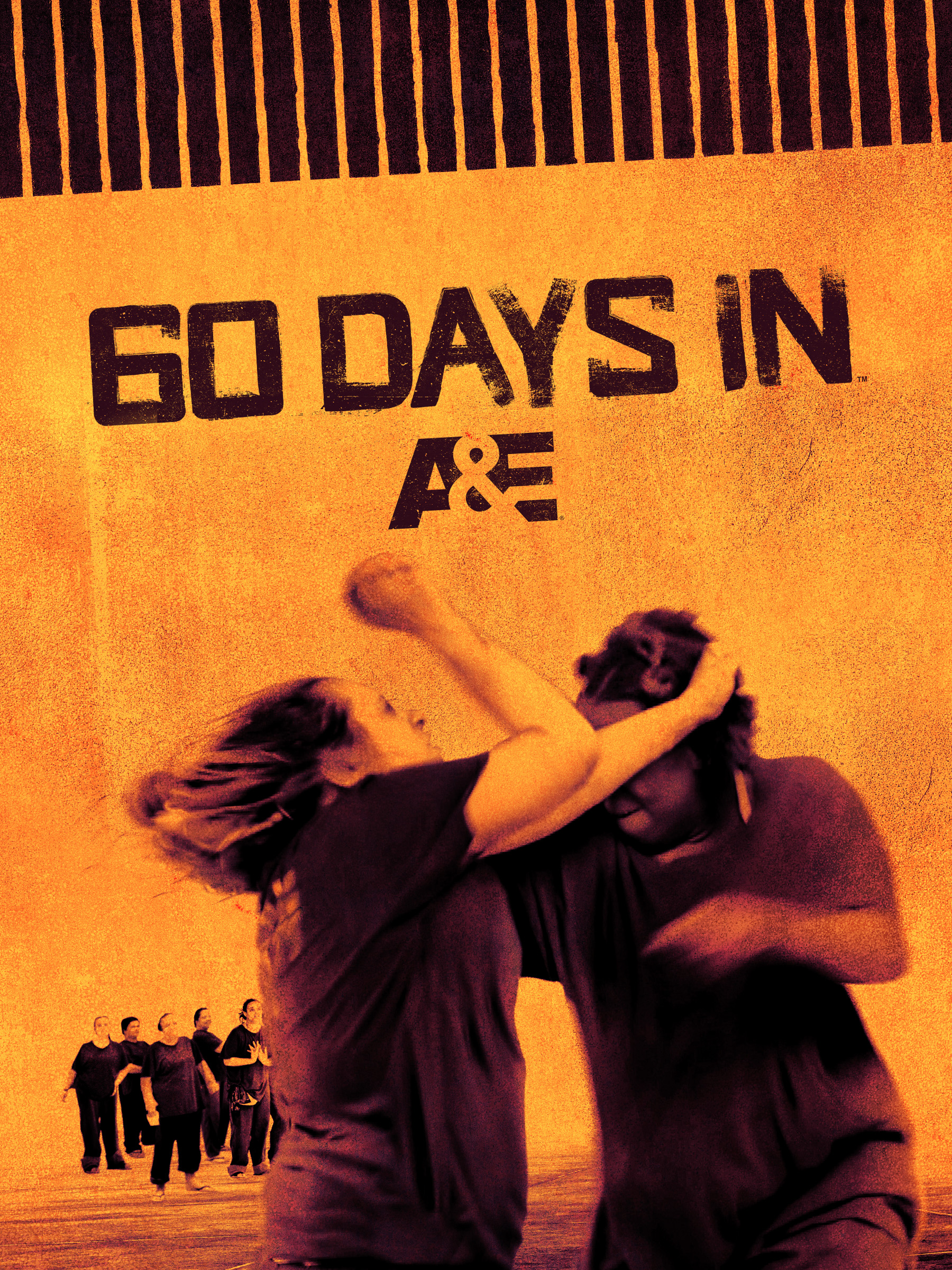 Poster of 60 Days In