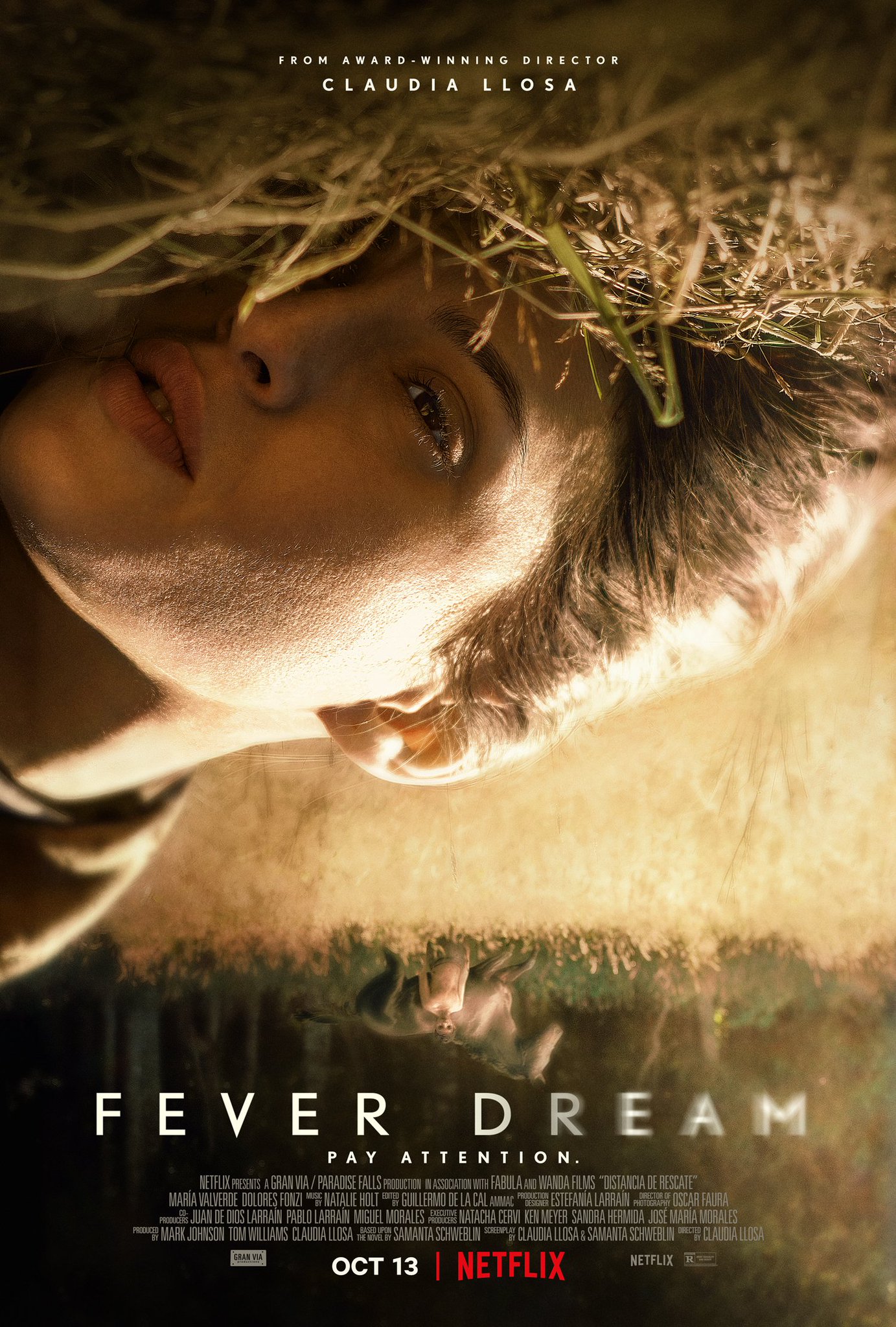 Poster of Fever Dream