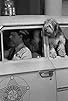 Primary photo for Dogs, Dogs, Dogs