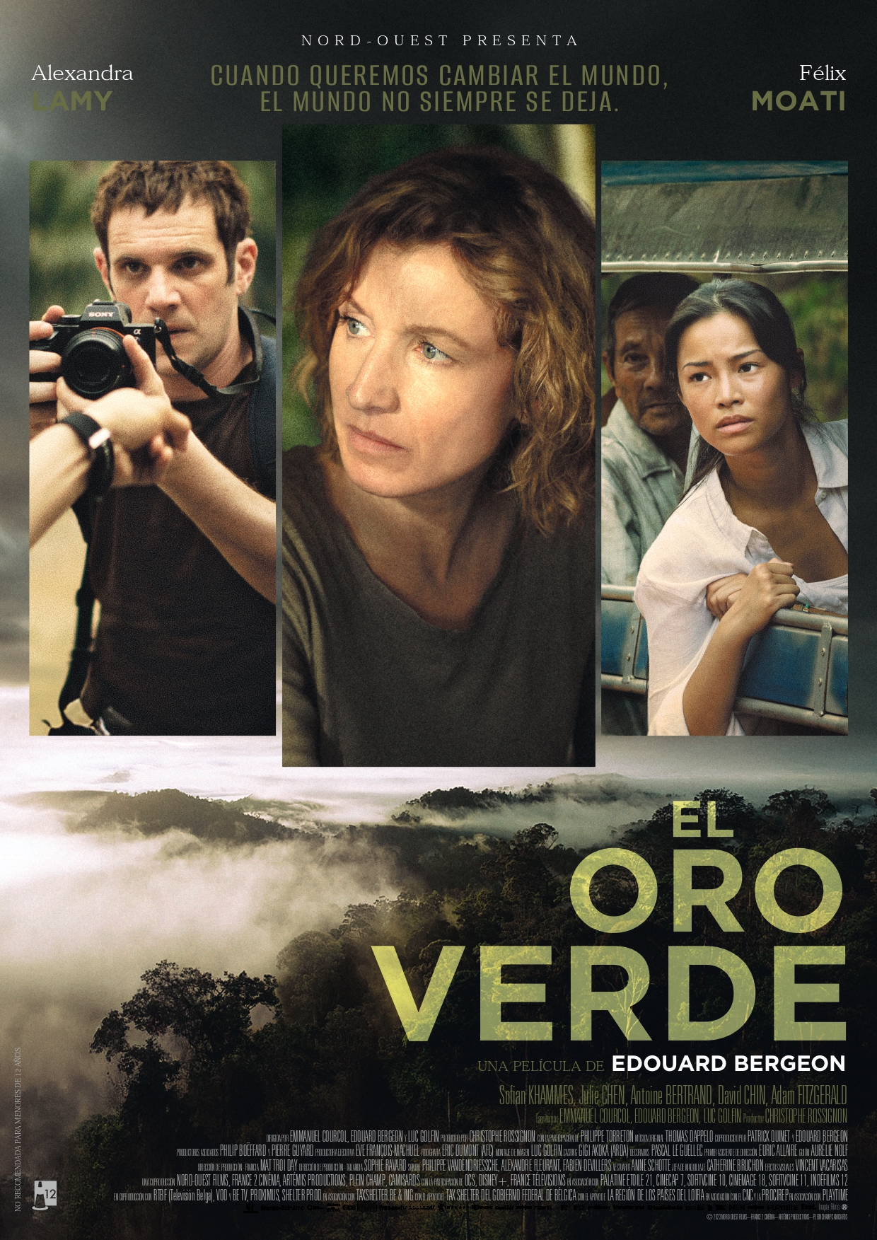 Poster of La promesse verte