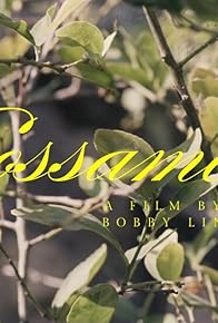 Primary photo for Gossamer