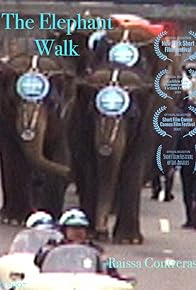 Primary photo for The Elephant Walk