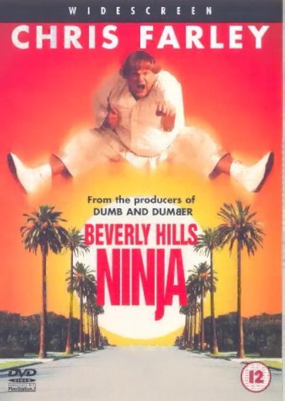 Beverly Hills Ninja (1997)