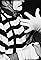 The Mime's primary photo