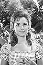 Dawn Wells's primary photo Dawn Wells's primary photo