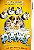 Primary photo for Paws Primary photo for Paws