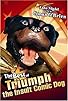 Primary photo for Late Night with Conan O'Brien: The Best of Triumph the Insult Comic Dog