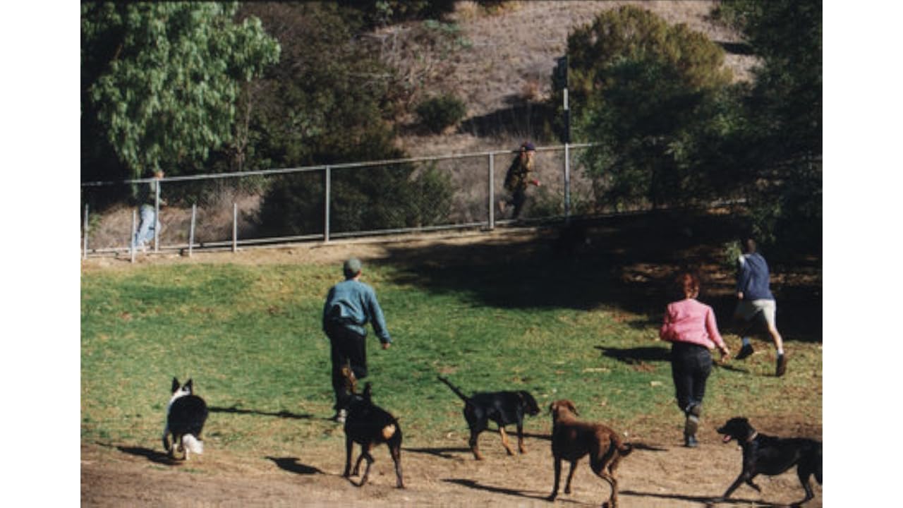 123Movies.! The Dogwalker 2002 HD Full Movie Free Online Streaming