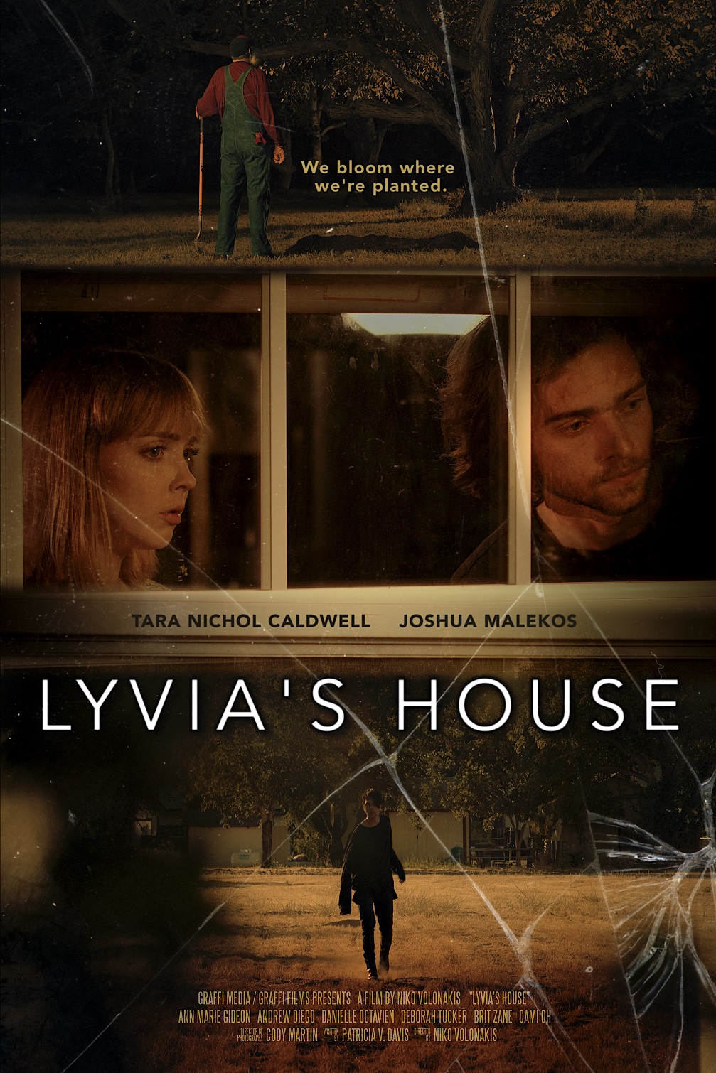 Poster of Lyvia's House