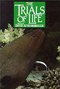 Primary photo for Living Together