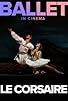 Primary photo for Bolshoi Ballet: Le Corsaire Primary photo for Bolshoi Ballet: Le Corsaire