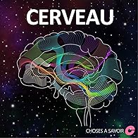 Primary photo for Seuls les neurones sont importants pour la mémoire?